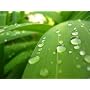 Panasonic Appareil photo num�rique Lumix DMC-FX33 &hellip de Panasonic