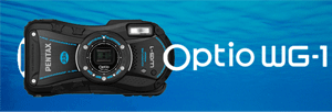 optiowg1