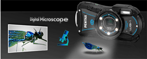 optiowg1