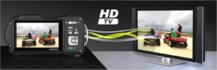 Services Garmin n&uuml;Link! 1695