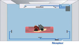 Les enceintes arri&egrave;re sont connect&eacute;es sans fil &agrave; l&acute;amplificateur