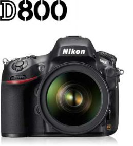 Nikon D800