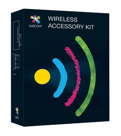 Bamboo Wireless Kit