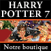 Boutique Harry Potter