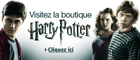 Boutique Harry Potter