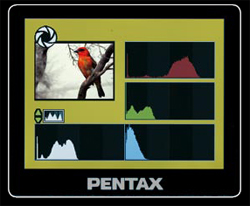 Pentax