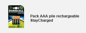 Pack AAA pile rechargeable StayCharged