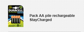 Pack AA pile rechargeable StayCharged