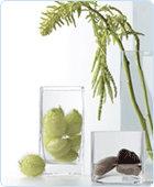 D�coration de la maison