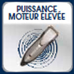 contenu h4