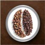 Philips Saeco Coffee Machine