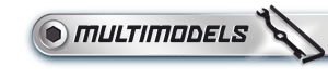 Multimodels
