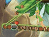 Jeu Clochette Mobigo 