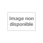 Manuscrits, tome 1 : Les �les d'Auvergne de Basselier