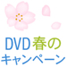 DVD�t�̃L�����y�[��