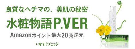 ���ϕ���P.VER