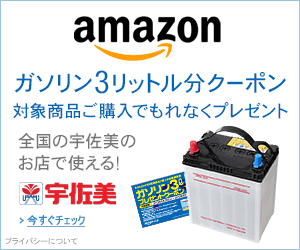 http://g-ecx.images-amazon.com/images/G/09/2013/automotive/associates/usami_coupon_300x250.gif
