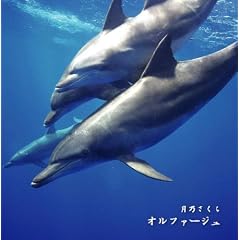 �I���t�@�[�W��