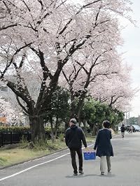 嶋中 労 の画像