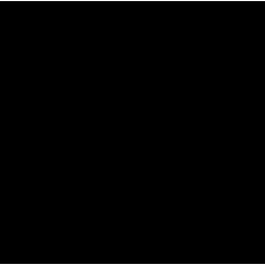 The Black Album