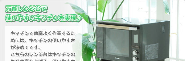 YAMAZEN レンジラック HRW-55L(DBR/CH)