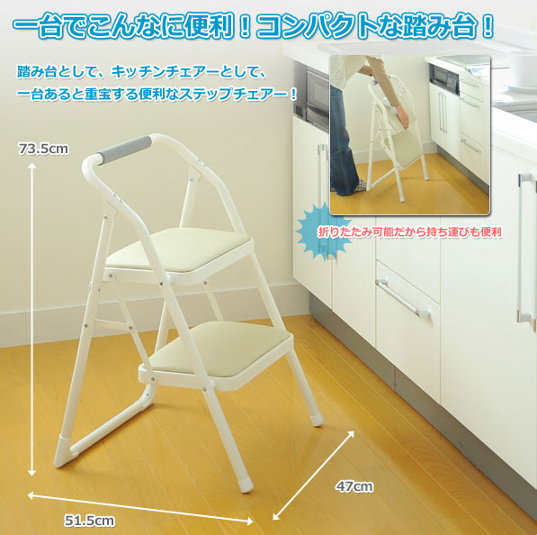 YAMAZEN �X�e�b�v�`�G�A �A�C�{���[ WCS-2(IV)