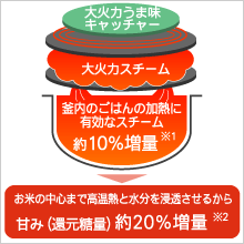 National �X�`�[��IH�W���[���ъ� [��Η��}��] (1.0L�E5.5��) �u���b�N SR-SV101-K