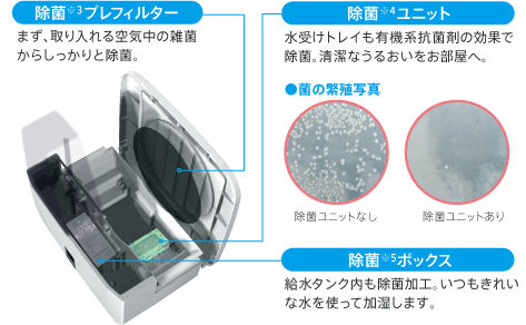 チャート