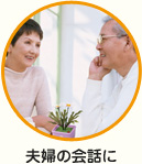 花っぱ ヒマワリ(黄)
