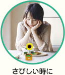 花っぱ ヒマワリ(黄)