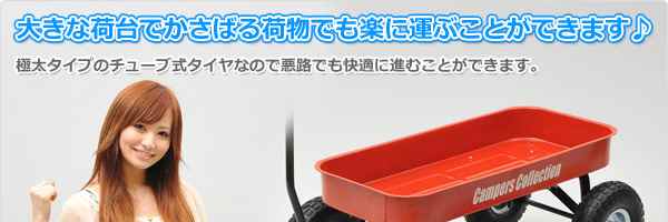 �L�����[�g���b�N