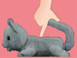 ゴロゴロニャーゴ グレー