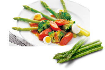 SHARP HEALSIO �E�H�[�^�[�I�[�u�������W 30L 381���j���[ ���C�_�N�g�t�� �u3.5�^�J���[�t���v �ȃG�l��B�� ���b�h�n AX-X2-R