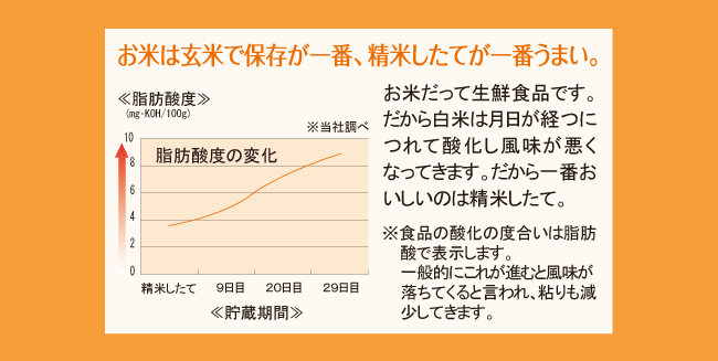 TWINBIRD コンパクト精米器 精米御膳 ホワイト MR-E700W