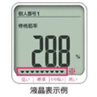 OMRON 体重体組成計 カラダスキャン HBF-203