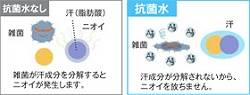 抗菌水なし/抗菌水