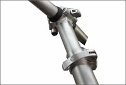 stem