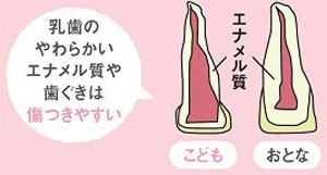 Panasonic 音波振動ハブラシ ポケットドルツ キッズ(しあげ磨き用) ピンク EW-DS32-P