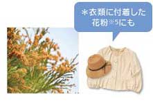 Panasonic �i�m�C�[�����@ (��1��) �N���[���u���b�N F-GMG01-K
