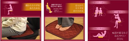 東京西川(西川産業) エコ暖 あったかパッド ミニ(45X35cm) EDV0801924 レッドブラウン