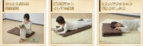 �u���a�X�g�� �����z�c(110�~60) �u���E�� BSZ-1102(BR)
