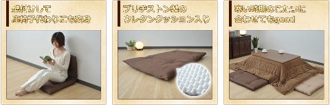 �u���a�X�g�� �����z�c(110�~60) �u���E�� BSZ-1102(BR)