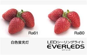Panasonic LEDシーリングライト ～12畳 HH-LC781A