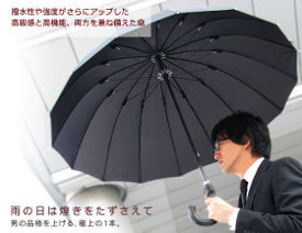 煌(kirameki) 16本骨傘 親骨65cm デュポン社製撥水加工 2013年モデル
