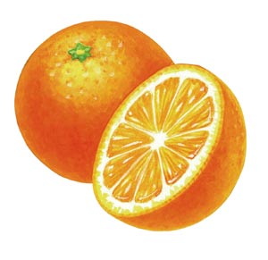 ����₩�ł������肵������