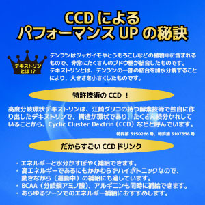 �]��O���R�̌�������a�������wCCD�x�I