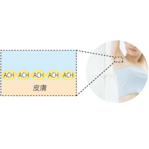 ニオイの元になる汗を抑えて、防臭効果が長続き