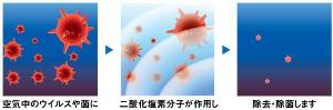 �N���x�����̎听��