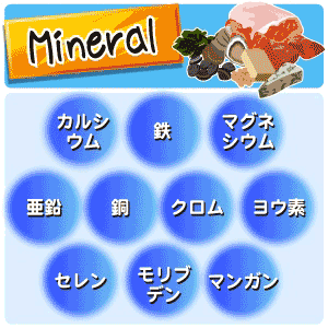 ◆不足しがちな10種類のミネラルが1粒で摂れる◆