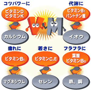 ◆ミネラル＆ビタミンは、一緒に摂ってパワーアップ◆